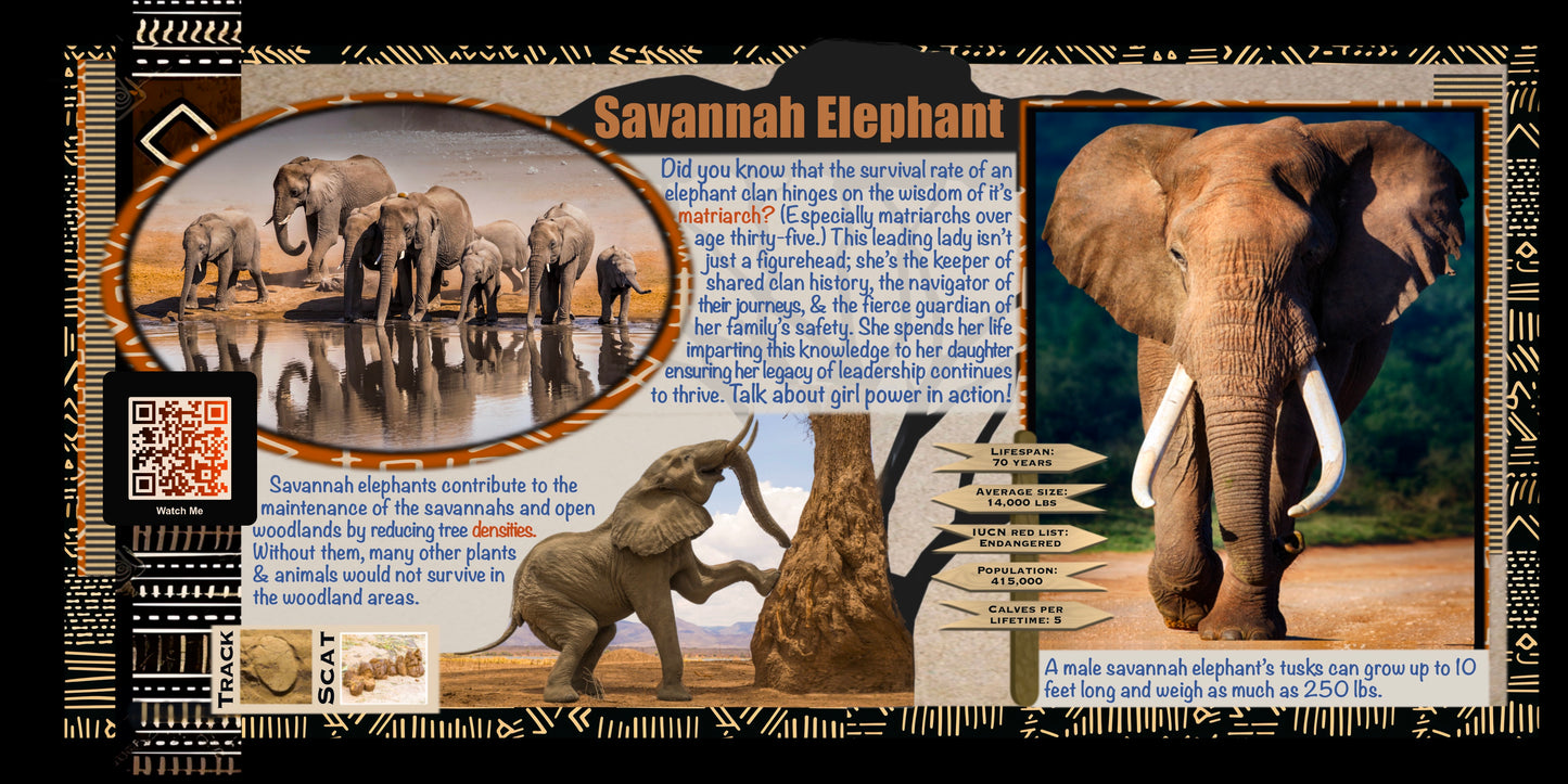 Coloring Passports Africa Safari Edition 1