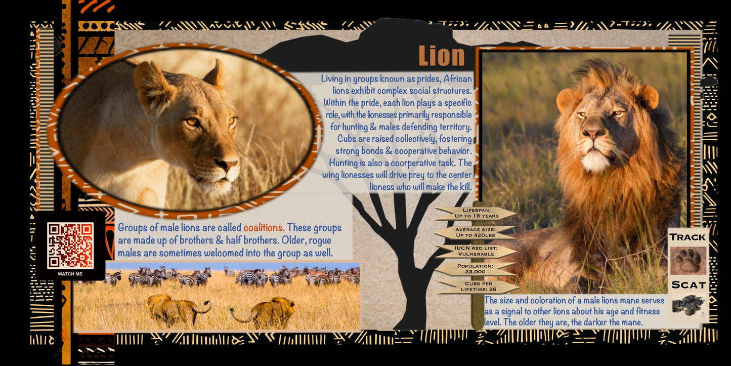 Coloring Passports Africa Safari Edition 1