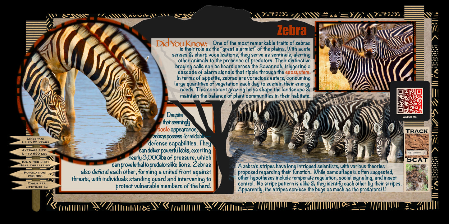 Coloring Passports Africa Safari Edition 1