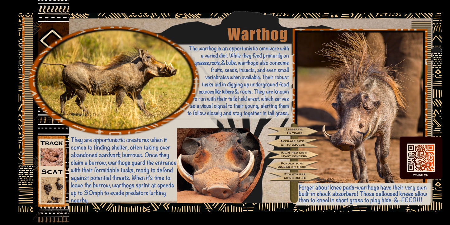 Coloring Passports Africa Safari Edition 1