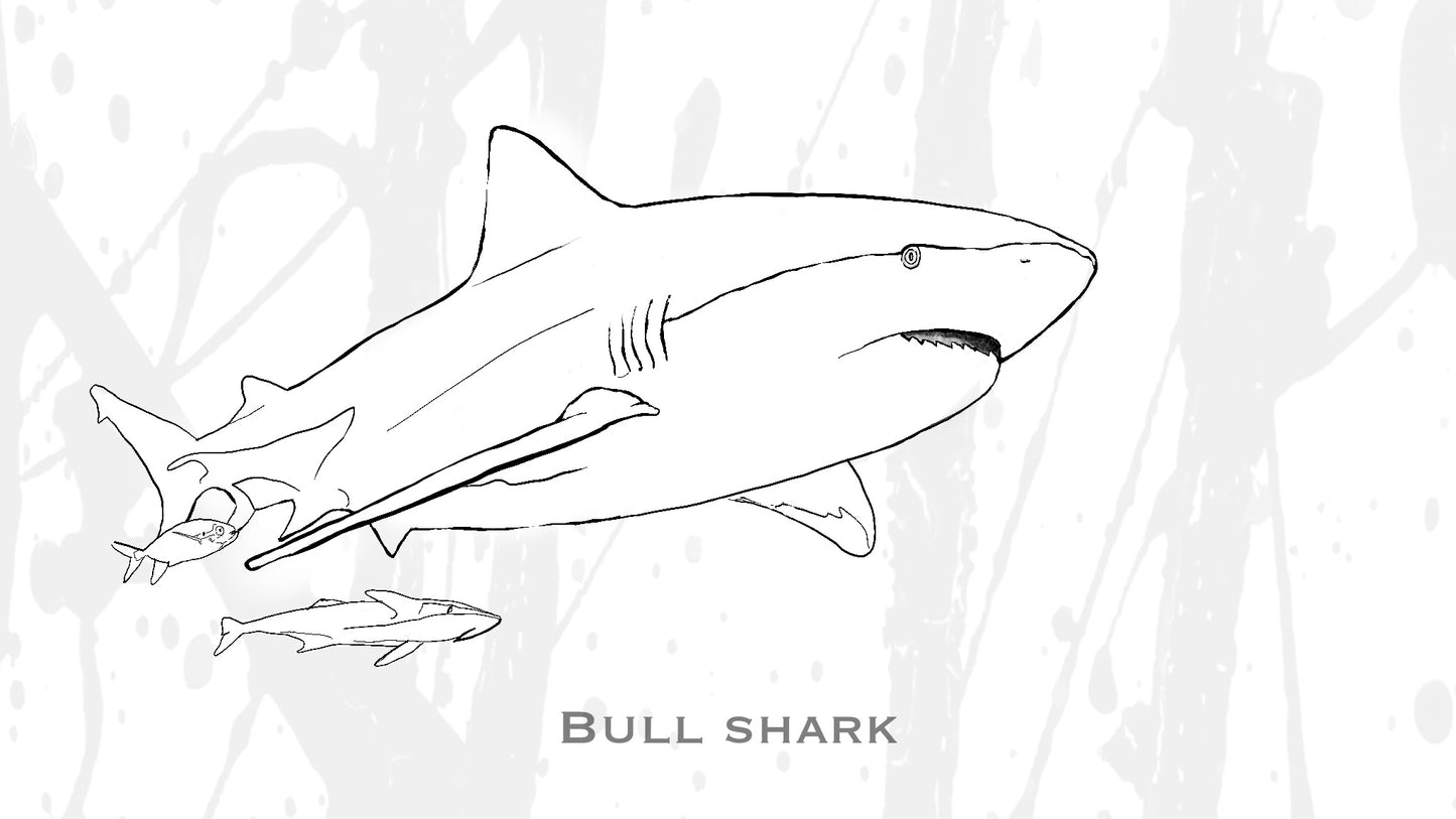 Coloring Passports Sharks Edition 1
