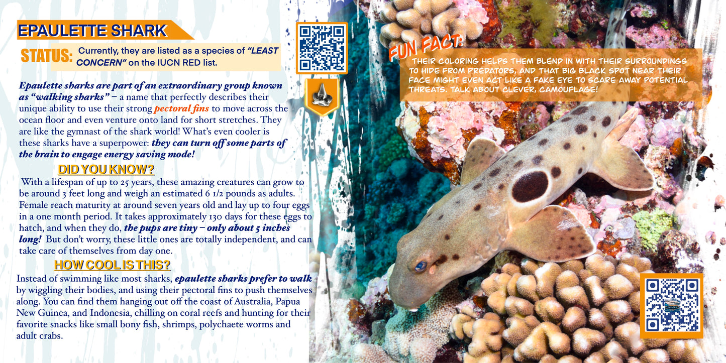 Coloring Passports Sharks Edition 1