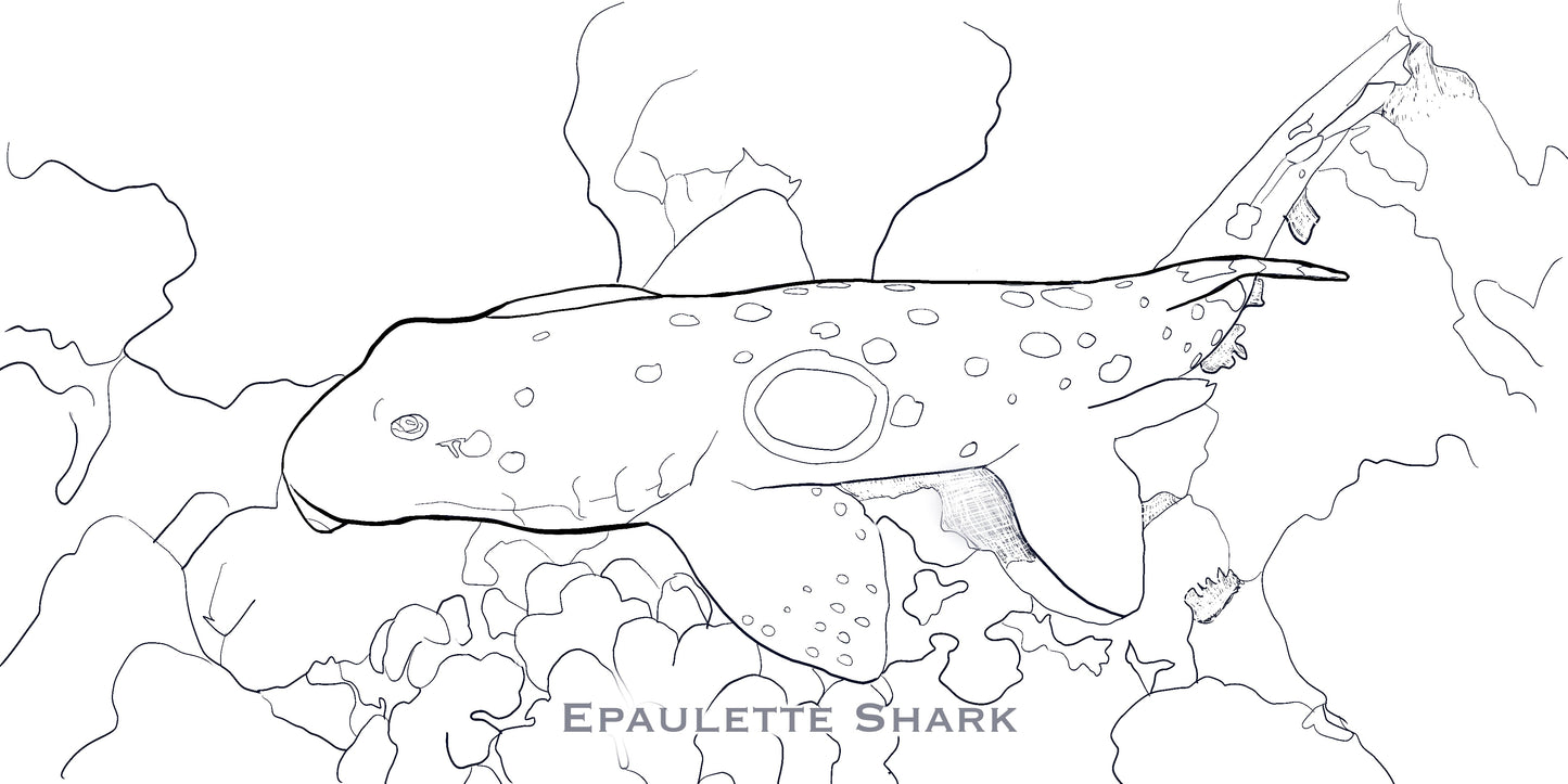 Coloring Passports Sharks Edition 1