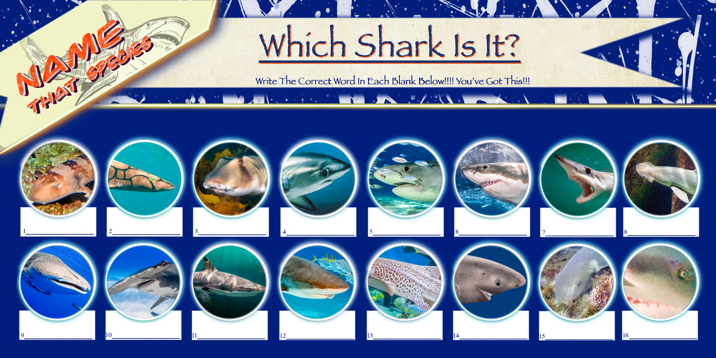 Coloring Passports Sharks Edition 1