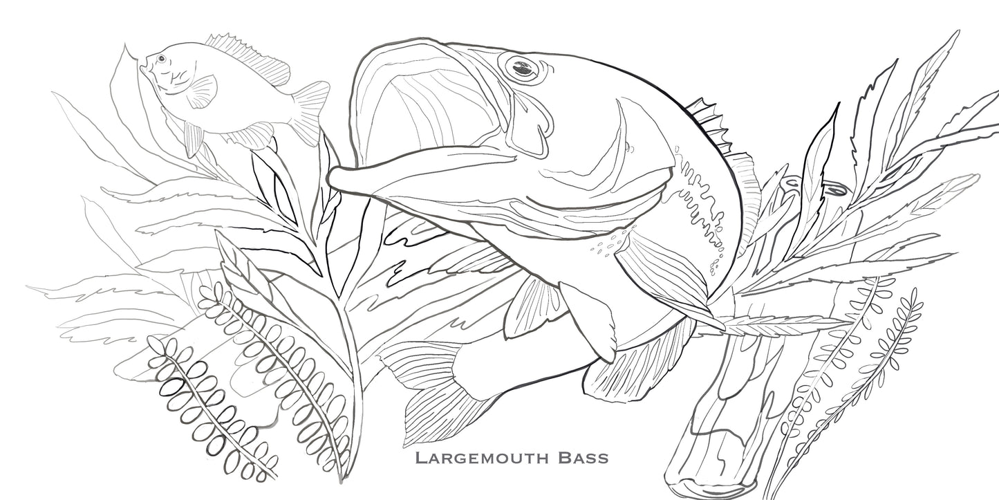 Coloring Passports FishON!!! Freshwater Edition I