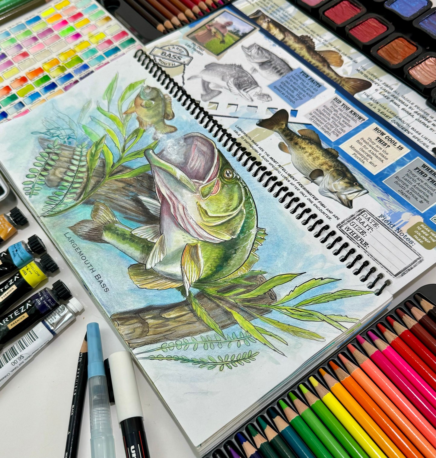 Coloring Passports FishON!!! Freshwater Edition I