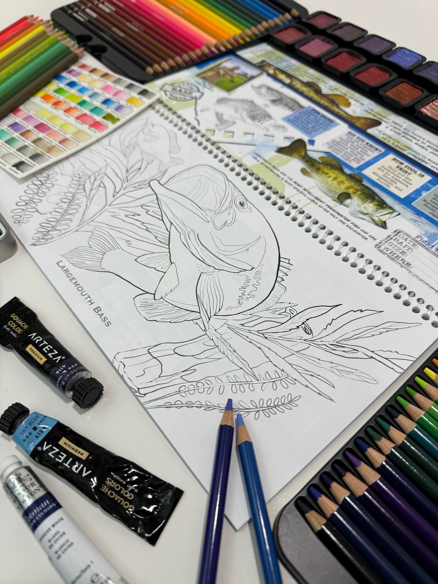 Coloring Passports FishON!!! Freshwater Edition I