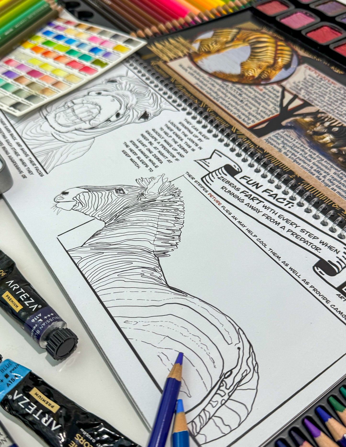 Coloring Passports Africa Safari Edition 1