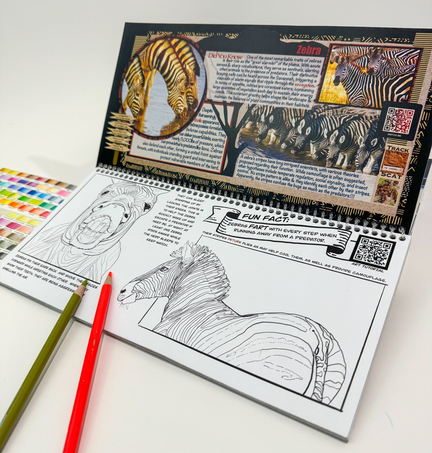 Coloring Passports Africa Safari Edition 1