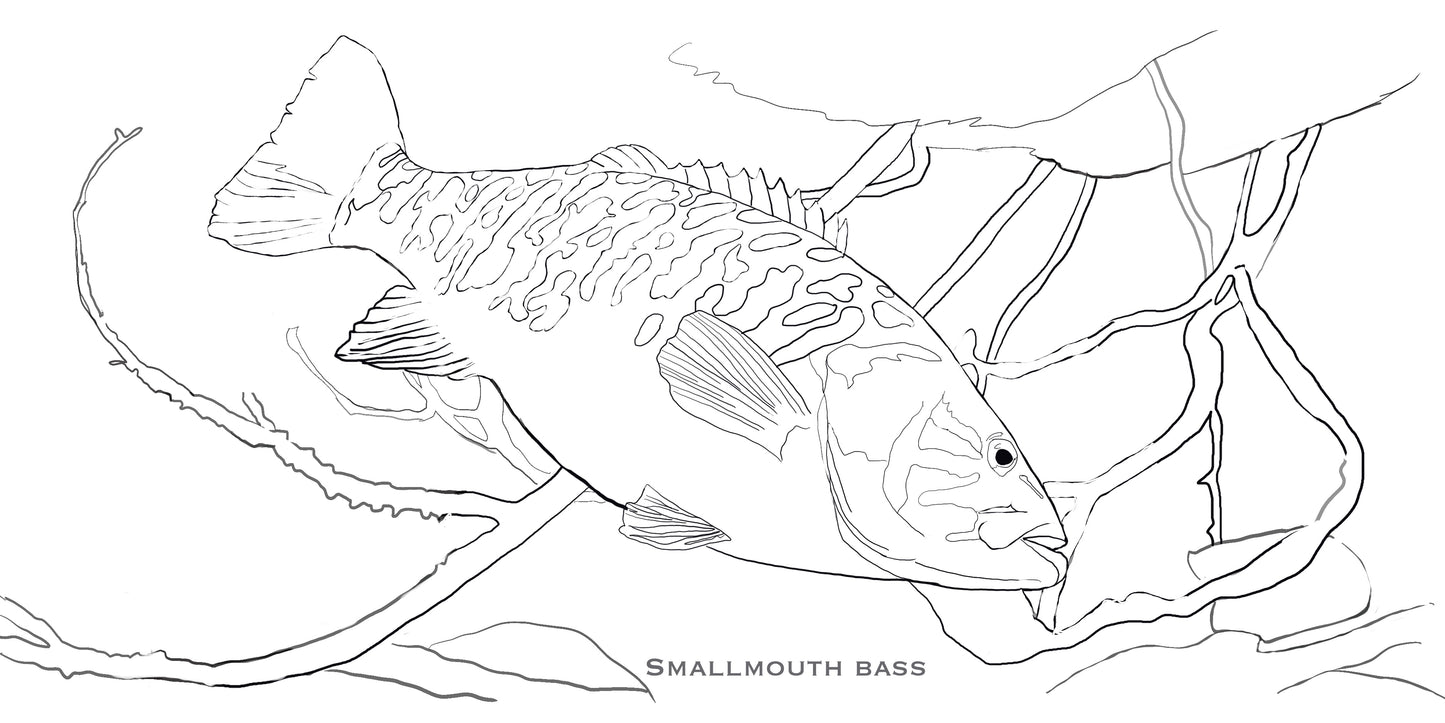 Coloring Passports FishON!!! Freshwater Edition I