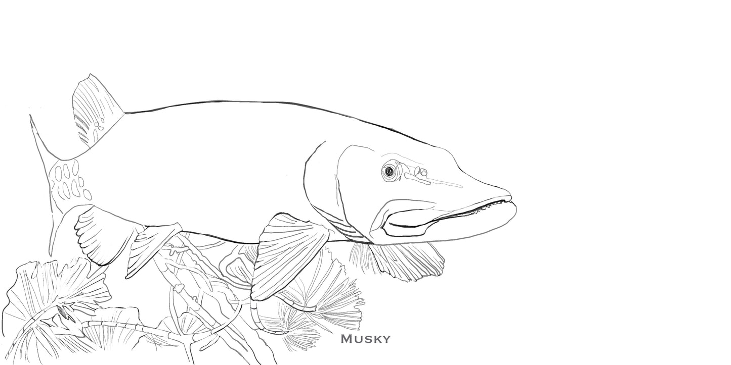 Coloring Passports FishON!!! Freshwater Edition I