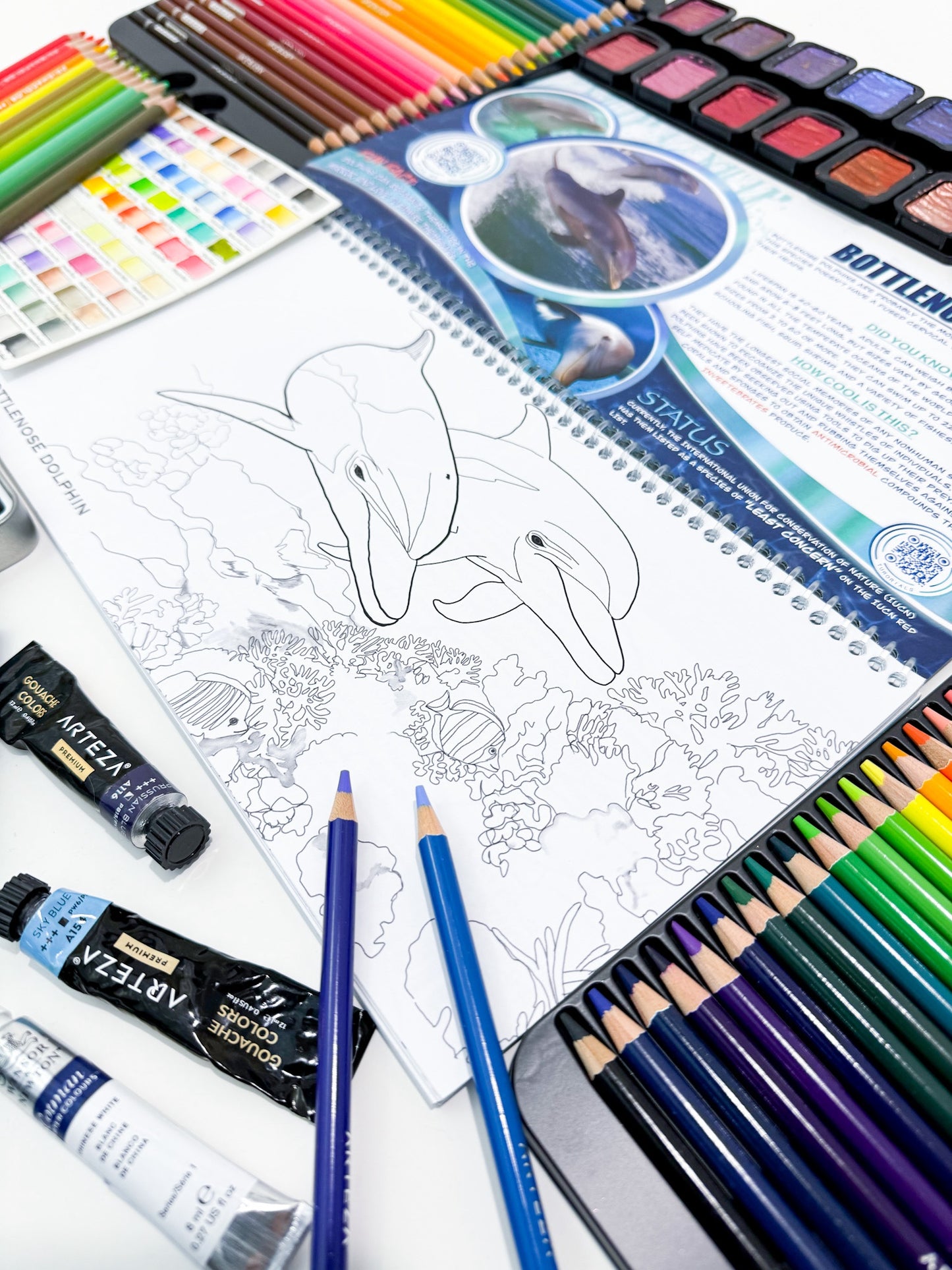 Coloring Passports Dolphins Edition 1