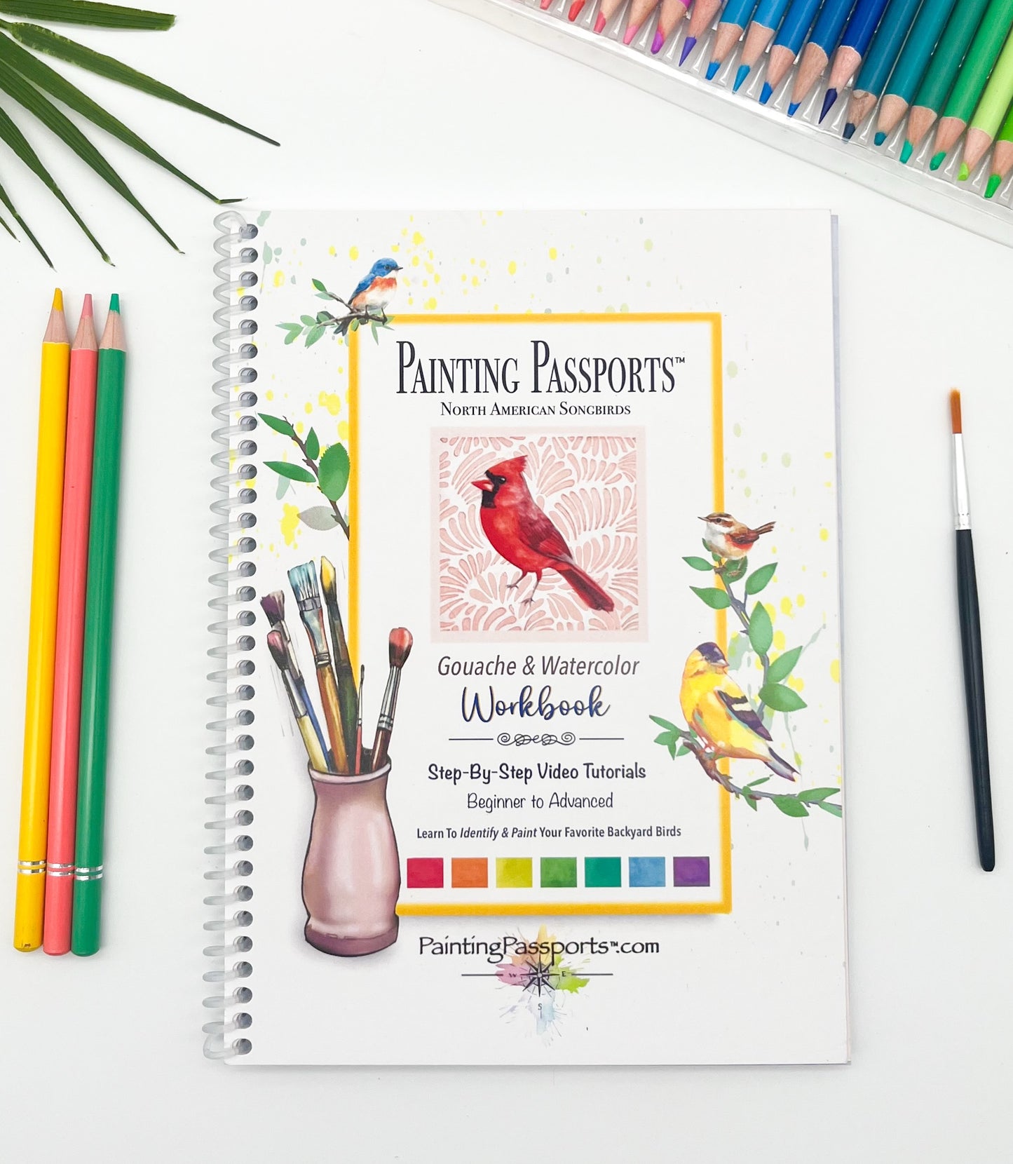 Painting Passports™ North American Songbirds Edition I