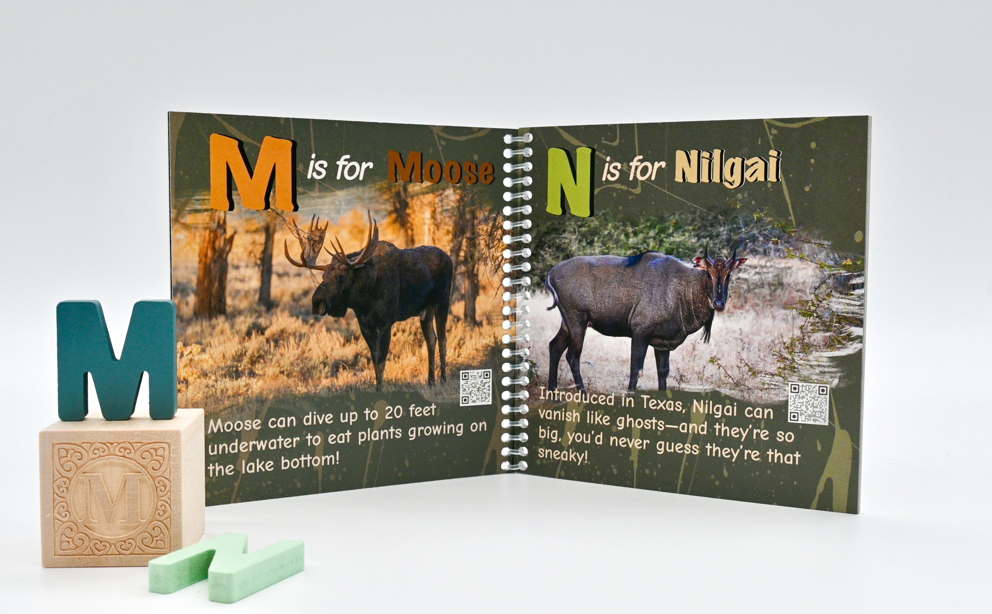 Big Game ABCs – Painting Passports