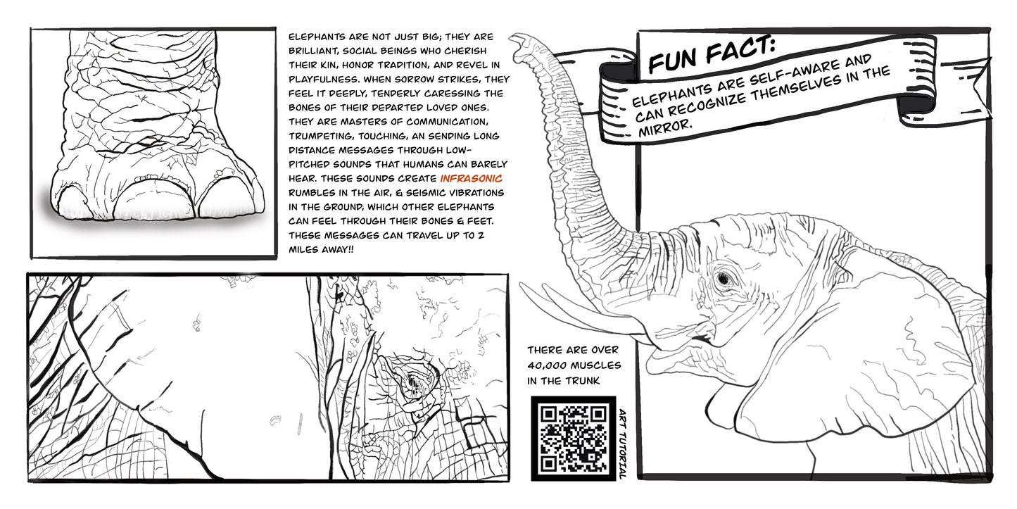 Coloring Passports Africa Safari Edition 1