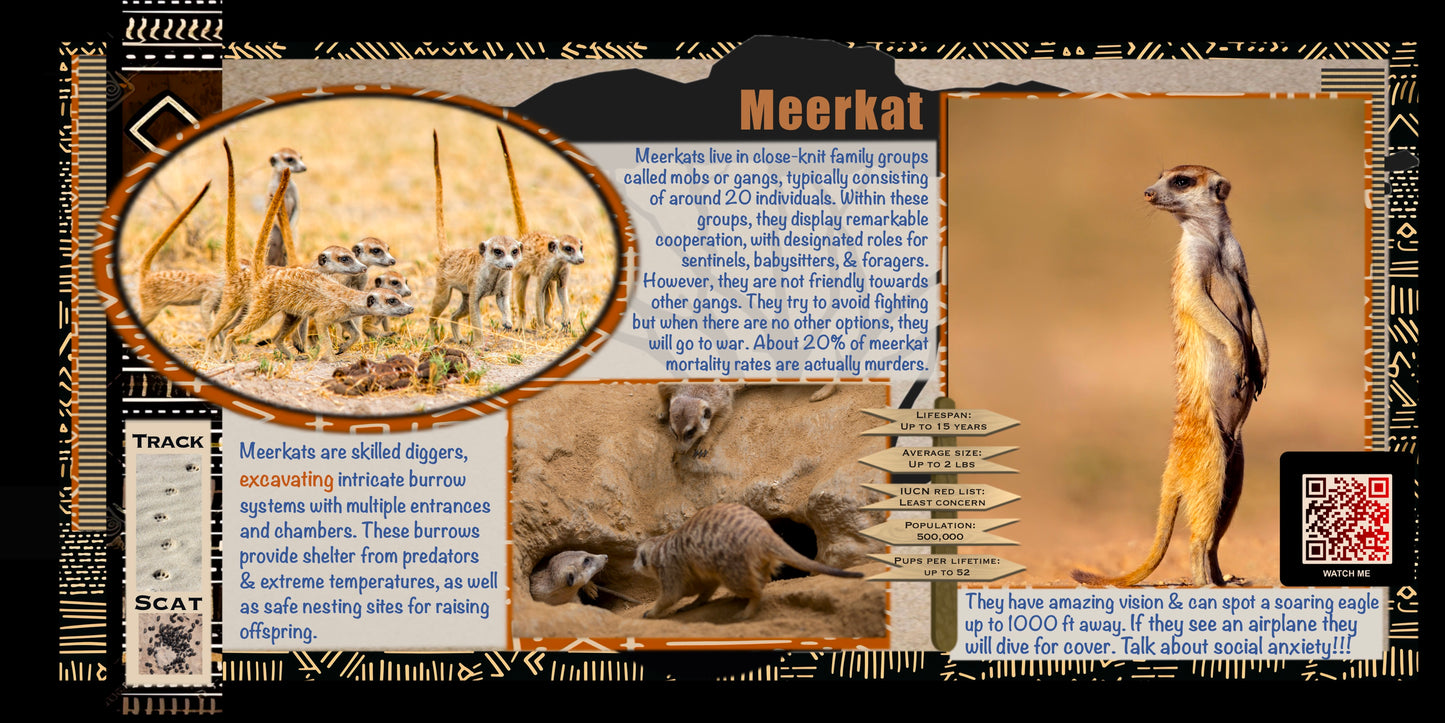 Coloring Passports Africa Safari Edition 1