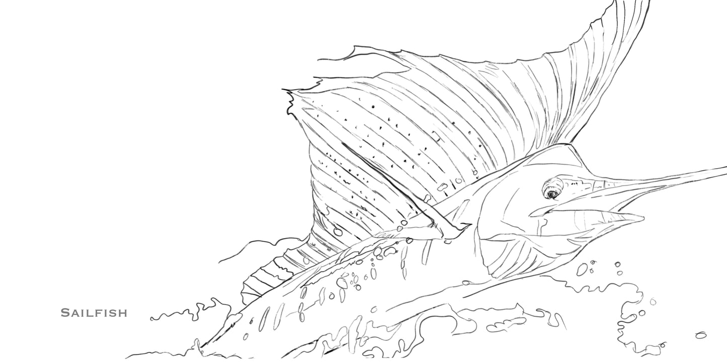 Coloring Passport FishON!!! Saltwater Edition I