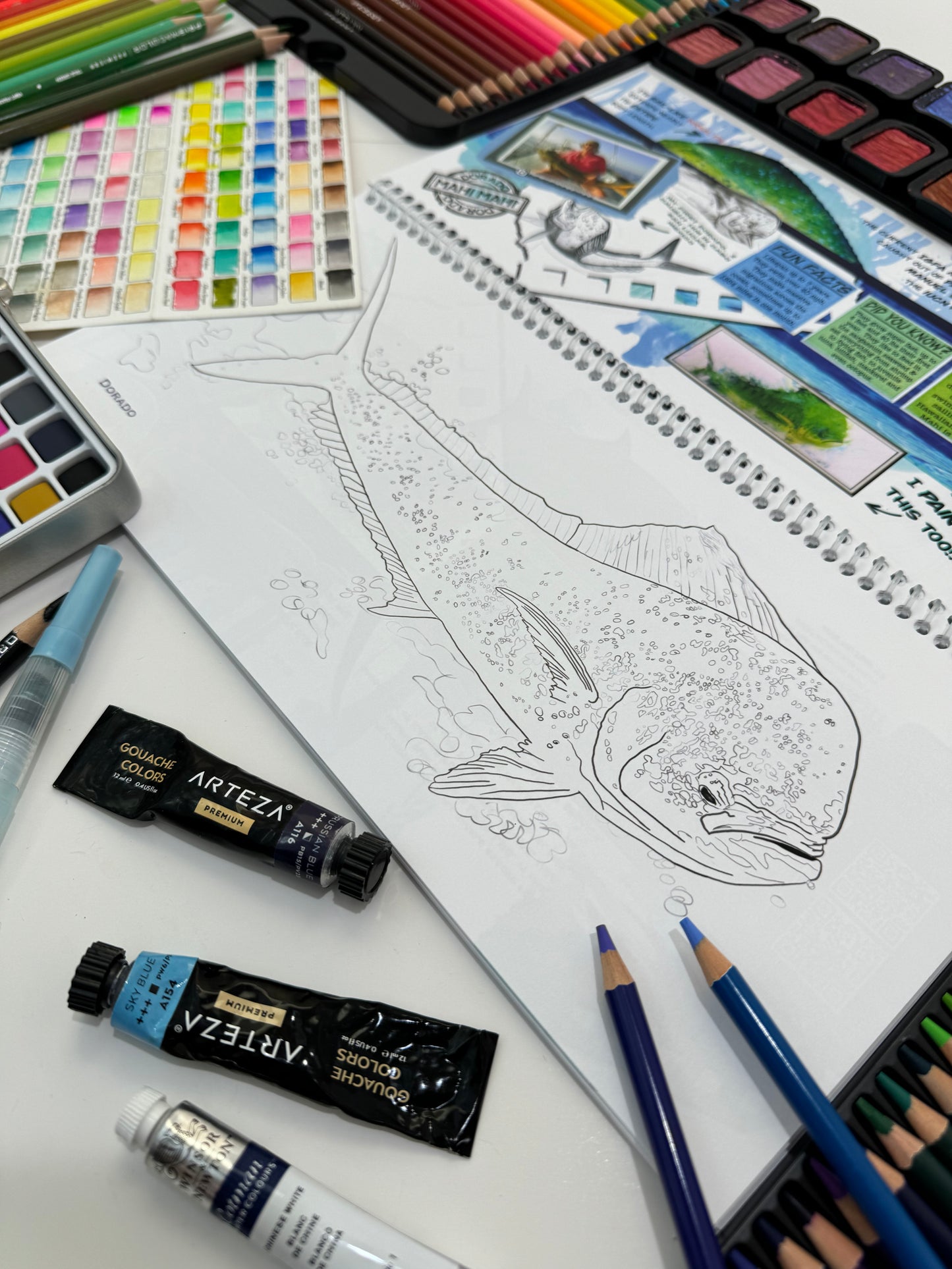 Coloring Passport FishON!!! Saltwater Edition I