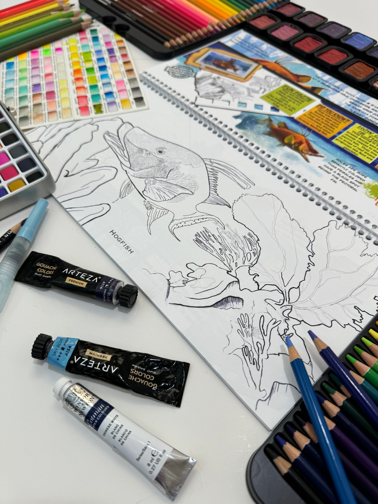 Coloring Passport FishON!!! Saltwater Edition I