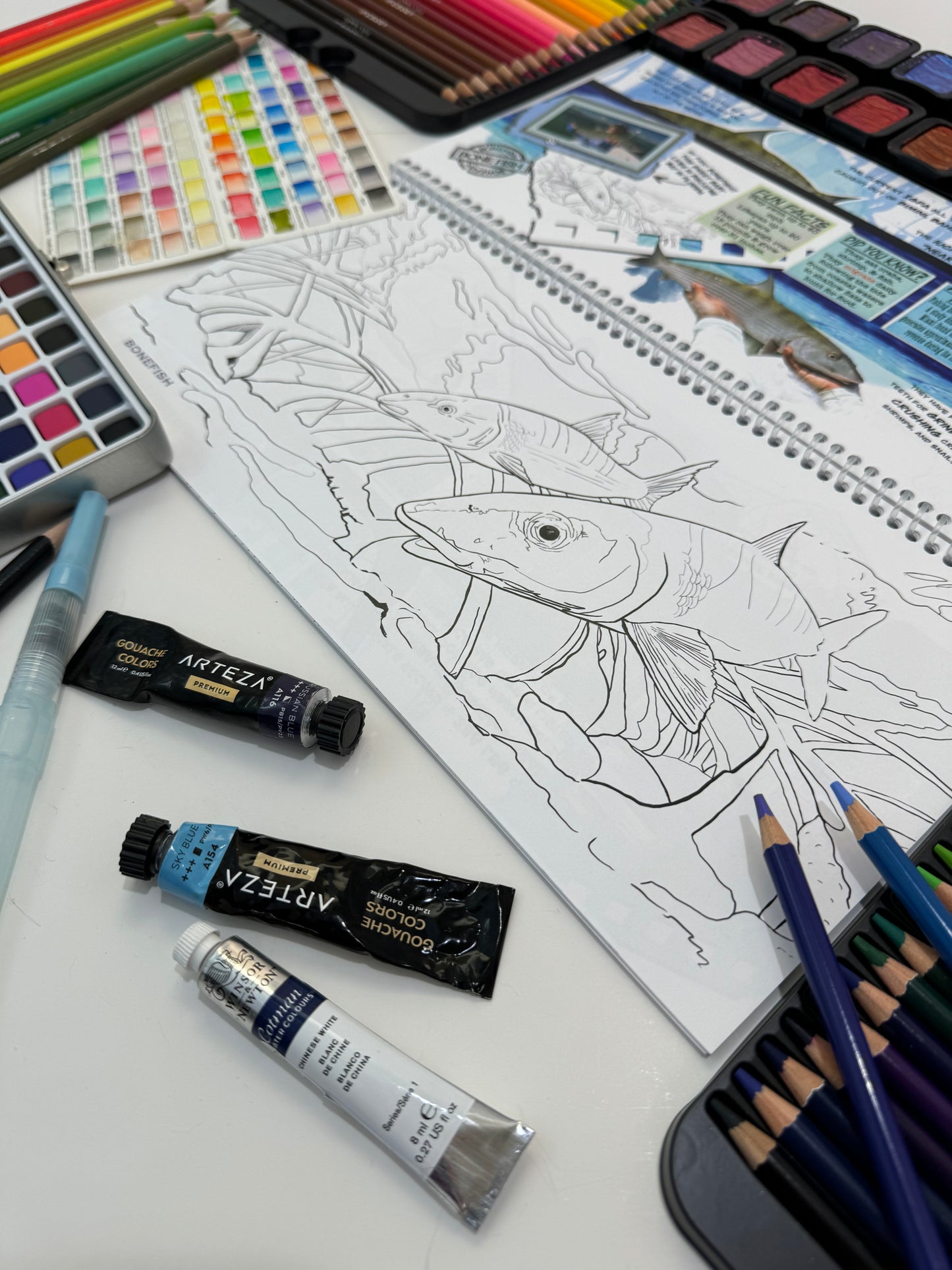 Coloring Passport FishON!!! Saltwater Edition I