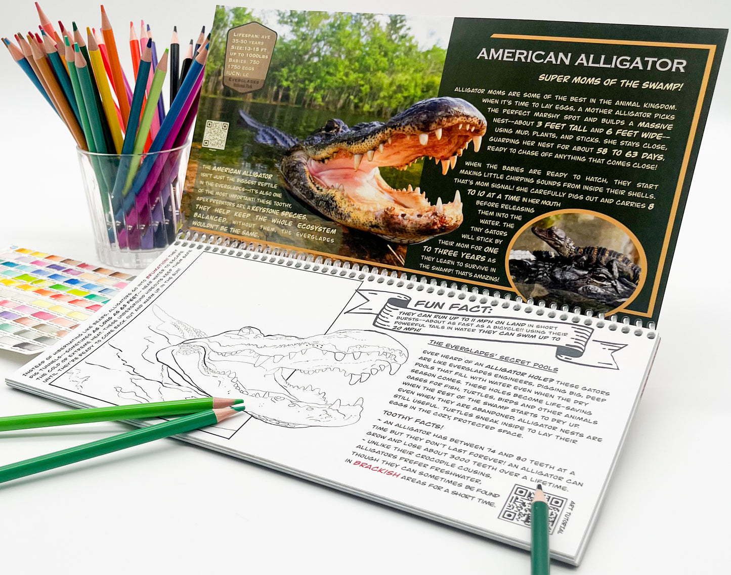 Coloring Passport™ Everglades National Park Edition I