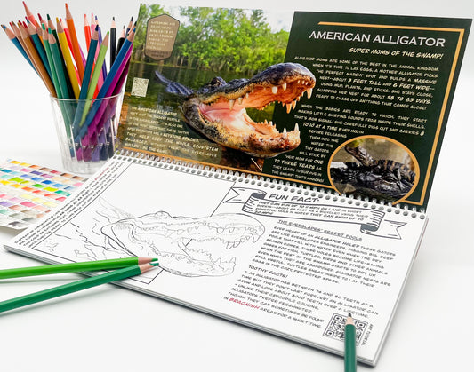 American Heritage Nature Week 2026 Everglades Bundle