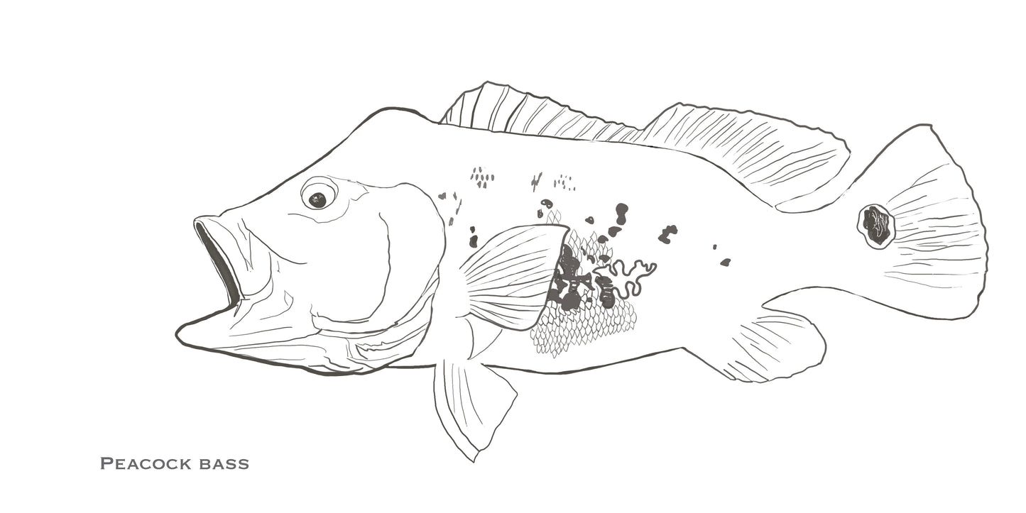 Coloring Passports FishON!!! Freshwater Edition I