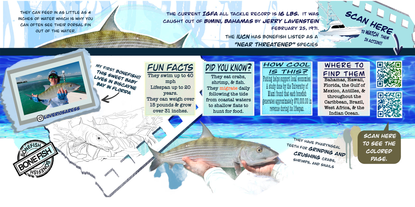 Coloring Passport FishON!!! Saltwater Edition I