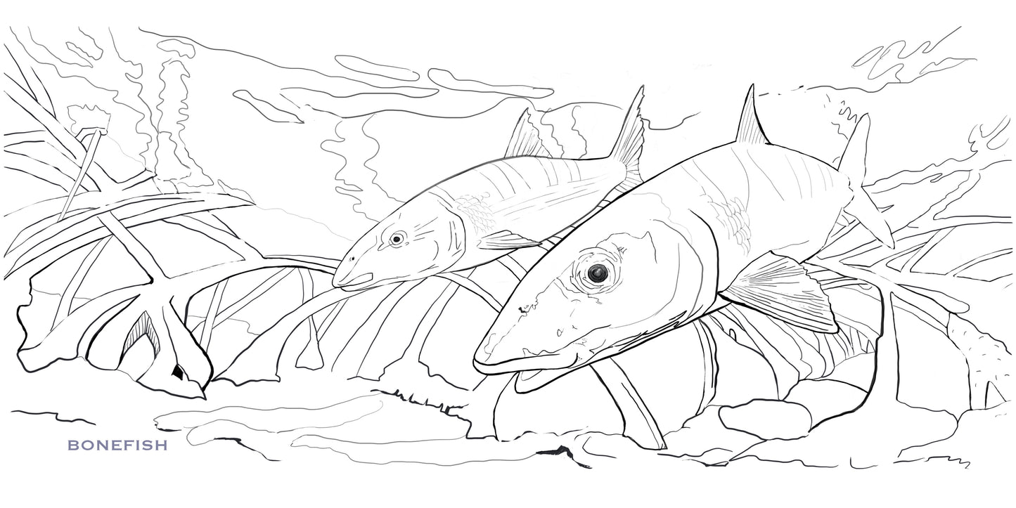 Coloring Passport FishON!!! Saltwater Edition I