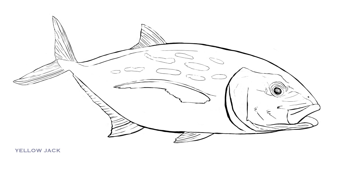 Coloring Passport FishON!!! Saltwater Edition I