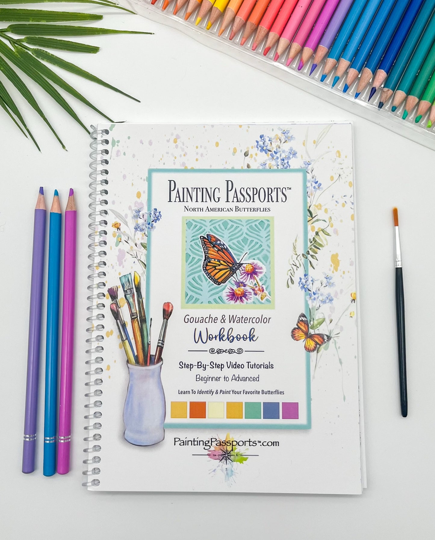 Painting Passports™ North American Butterflies Edition I