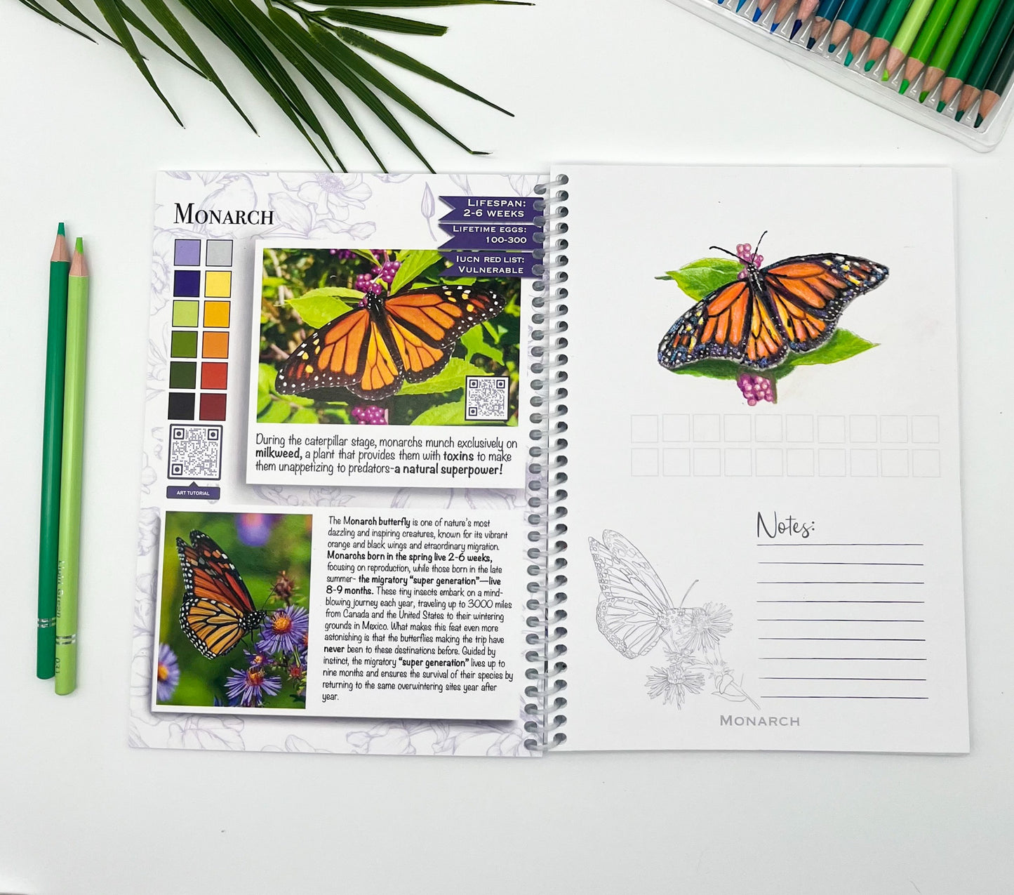 Painting Passports™ North American Butterflies Edition I