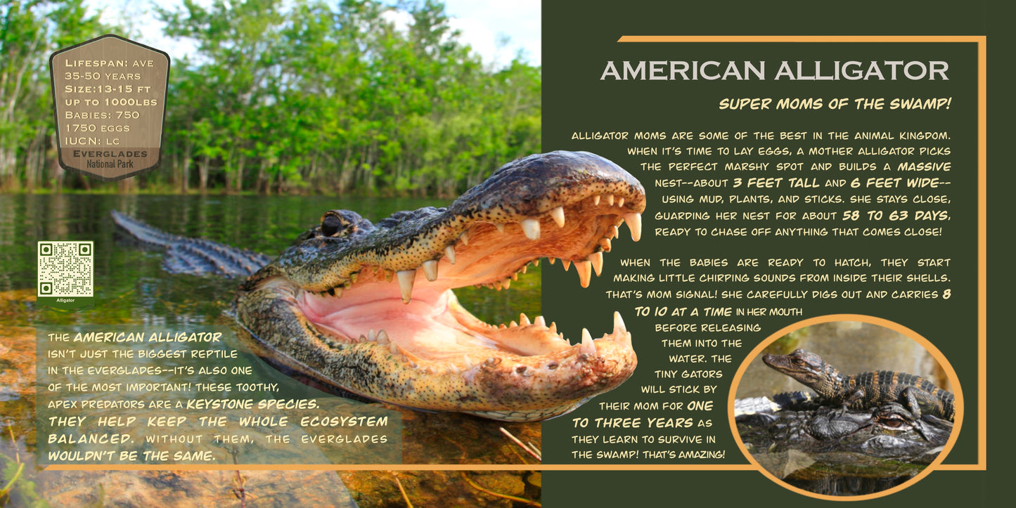 Coloring Passport™ Everglades National Park Edition I