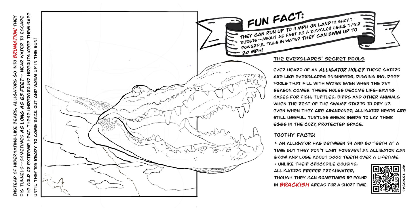Coloring Passport™ Everglades National Park Edition I